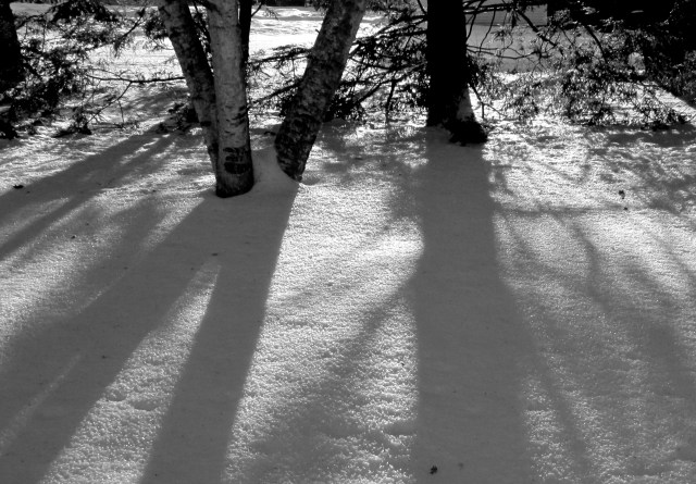 IMG_2046 - Version 2